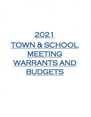 town and school meeting warrants and budgets