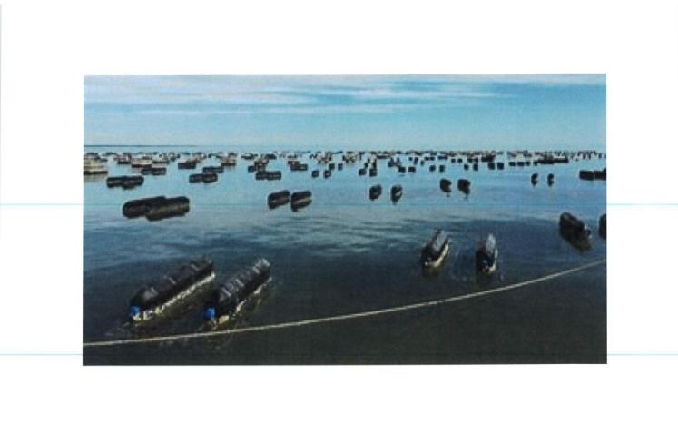 Floating Shellfish cages